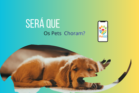 Iniciativa comunitárias.png